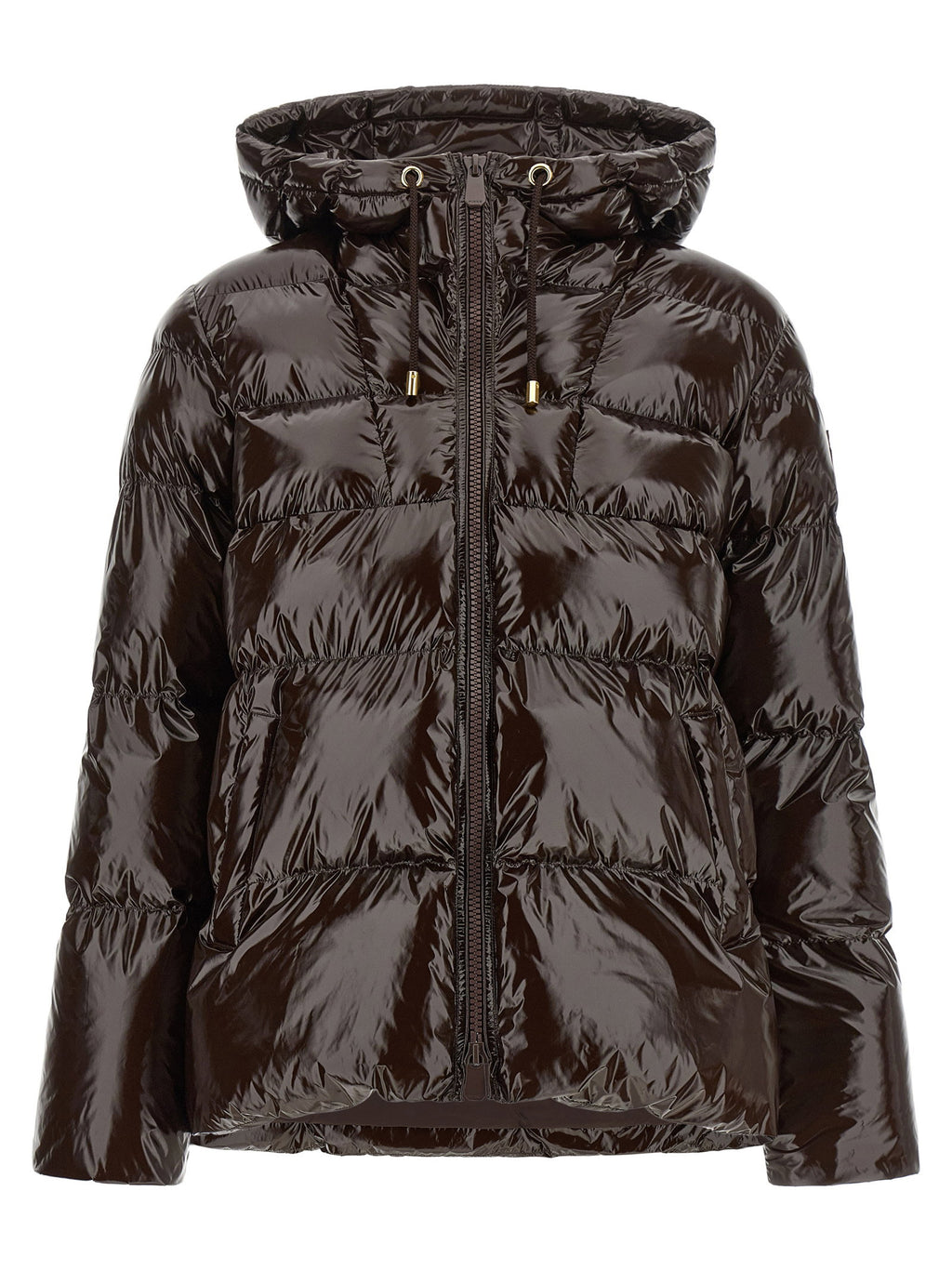 Pinko Eleodoro Down Jacket