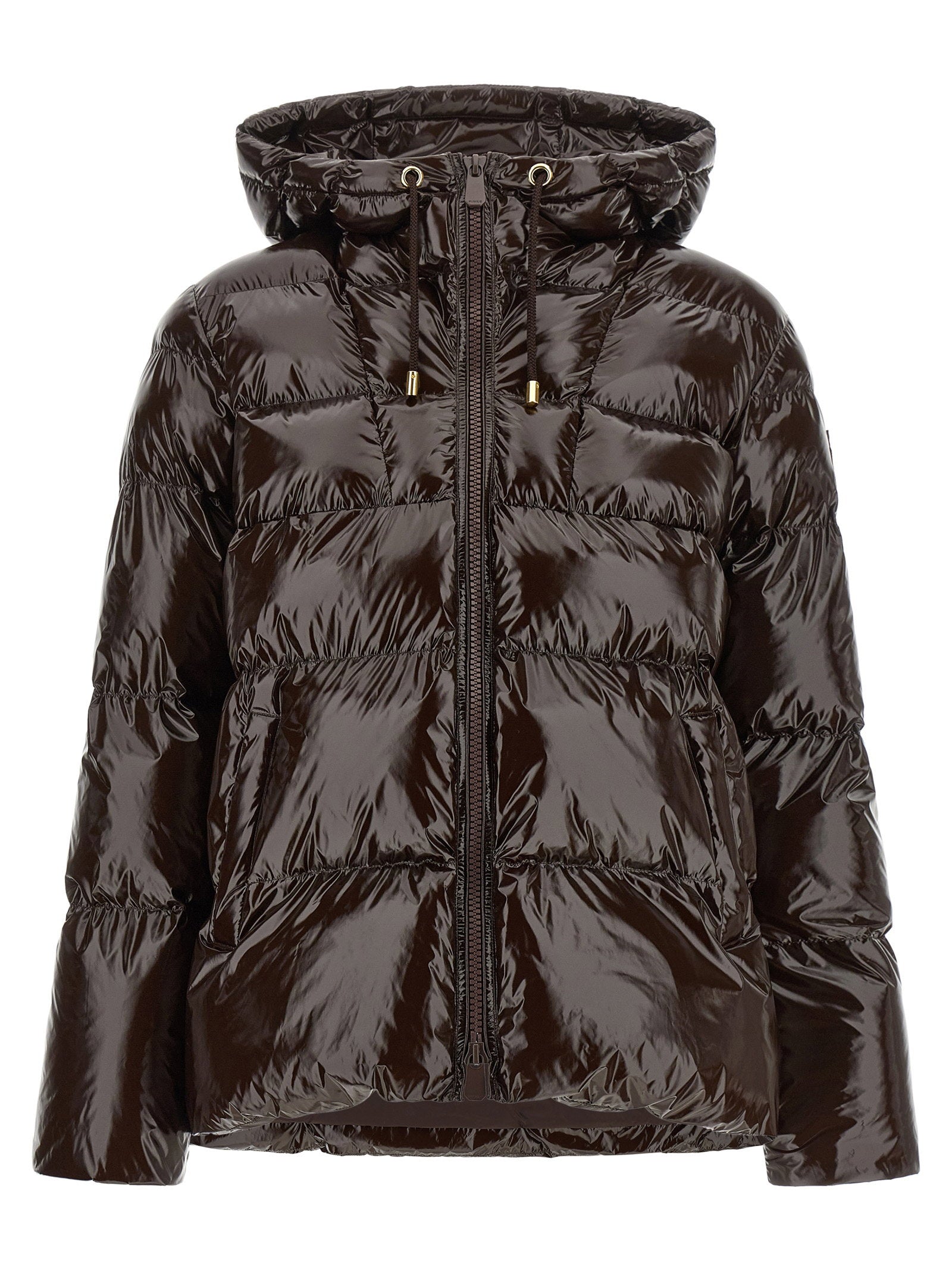Pinko Eleodoro Down Jacket