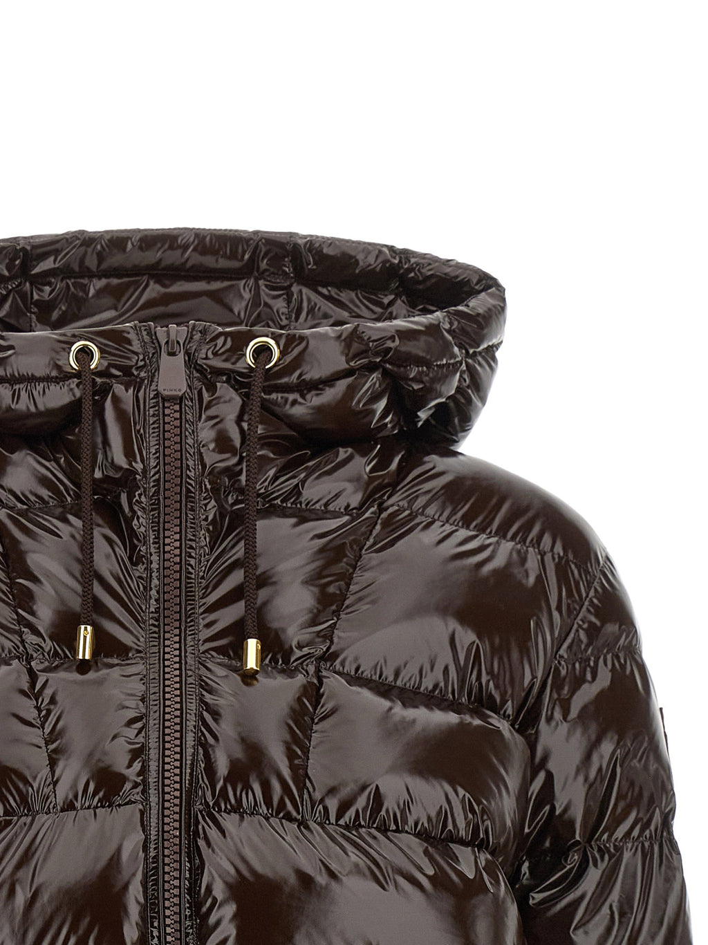 Pinko Eleodoro Down Jacket
