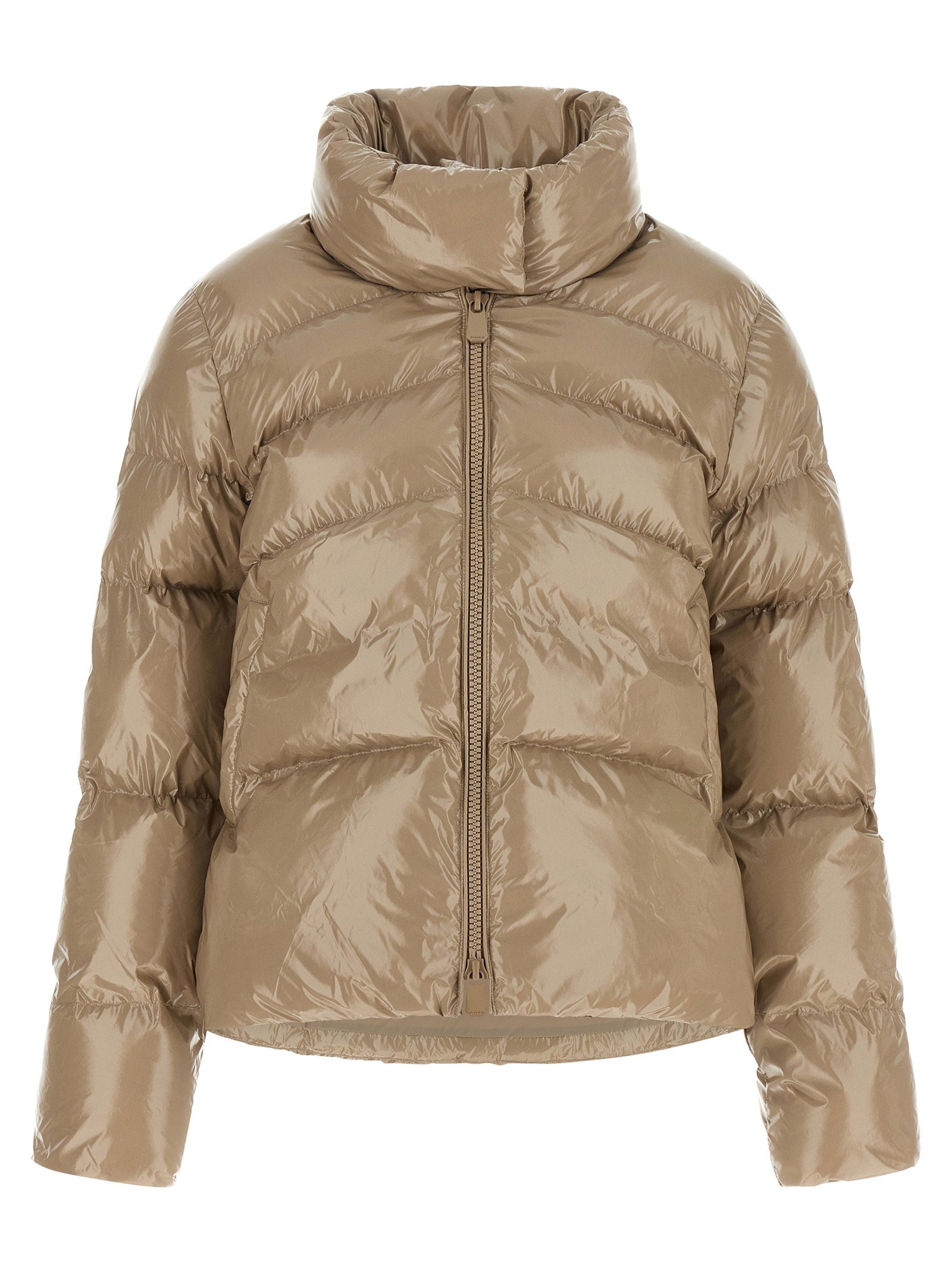 Pinko Mirco Down Jacket