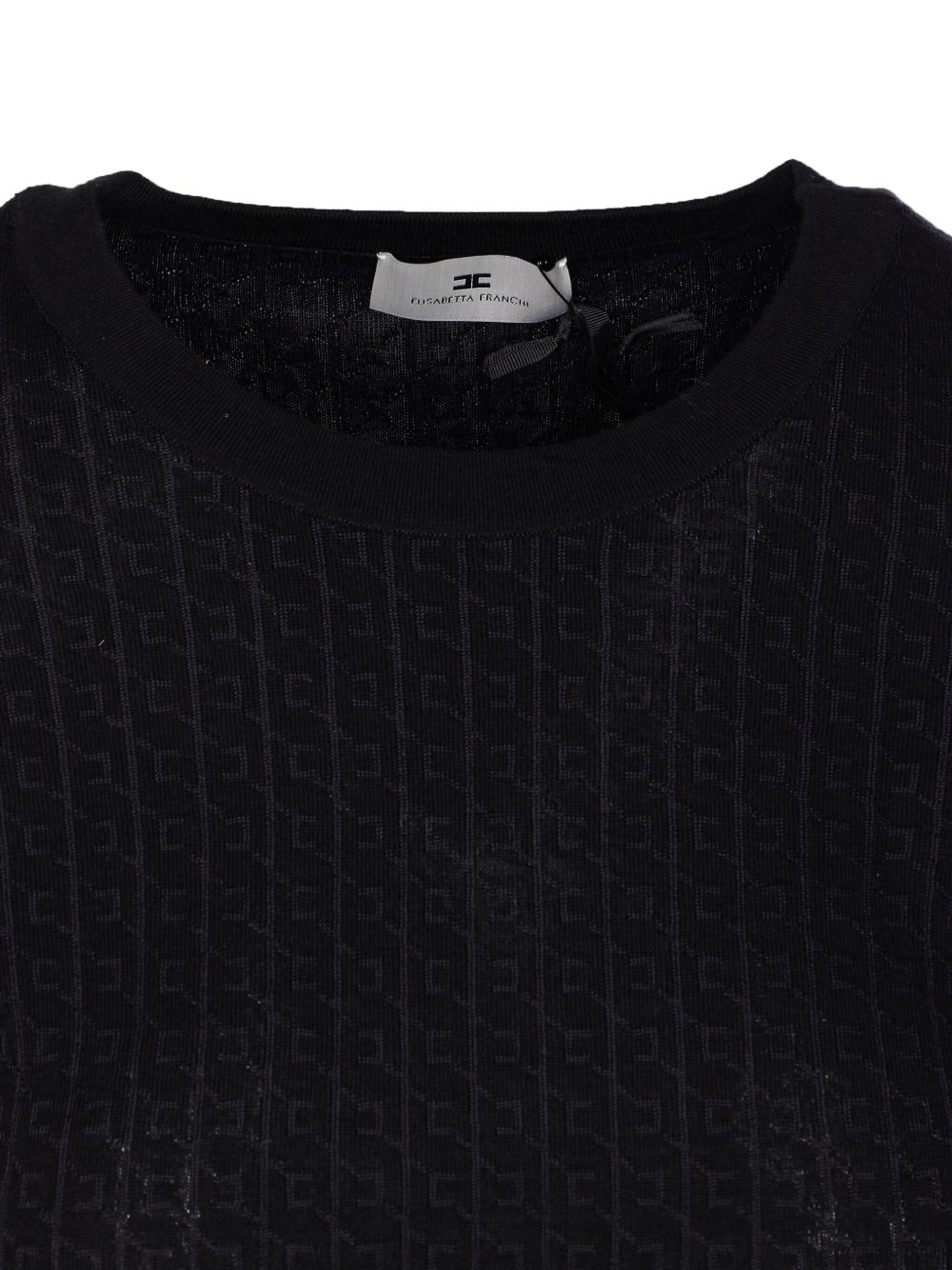 Elisabetta Franchi Wool blend crewneck sweater