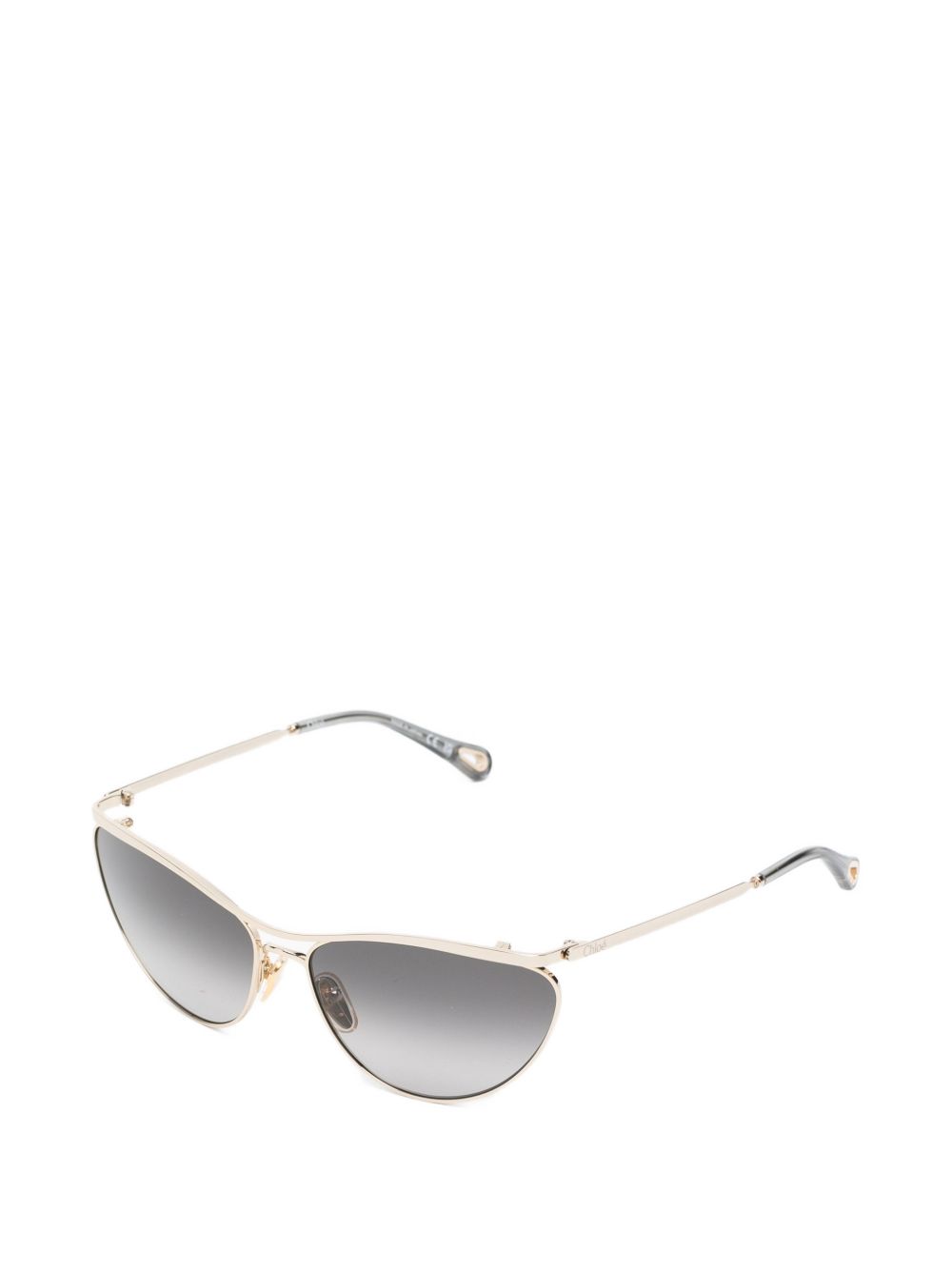 Chloé ChloÃ© These glasses come with a protective case
