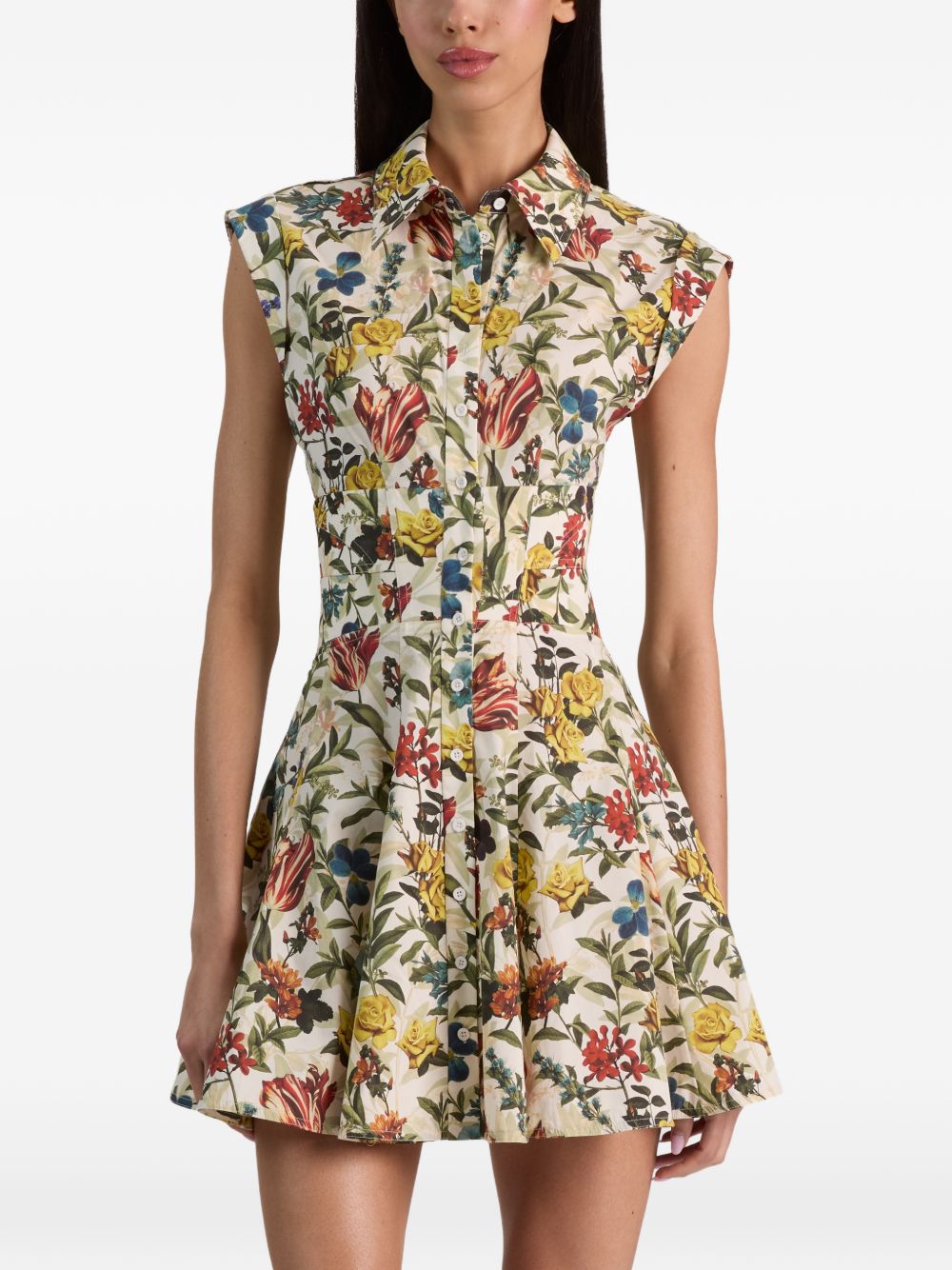Alice + Olivia Dress