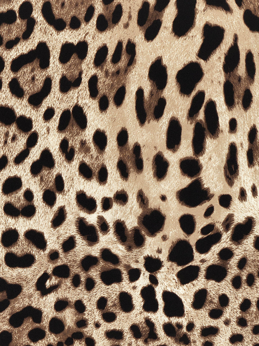Dolce & Gabbana Leopardo Scarf