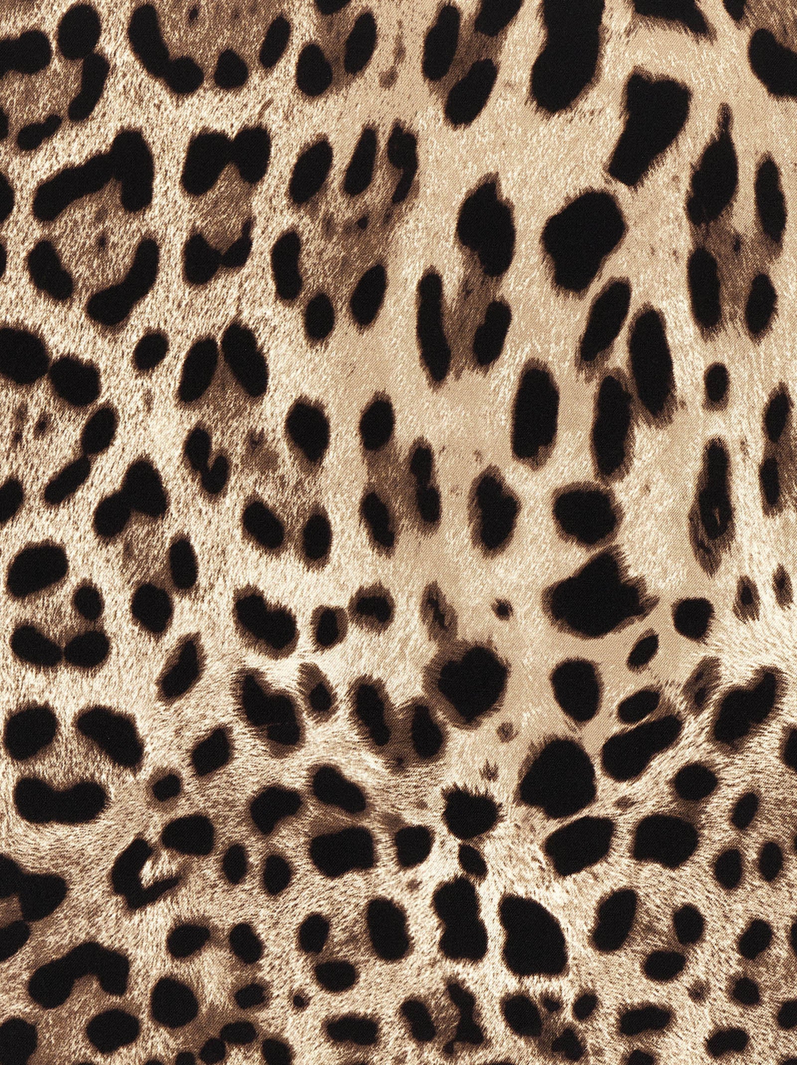 Dolce & Gabbana Leopardo Scarf
