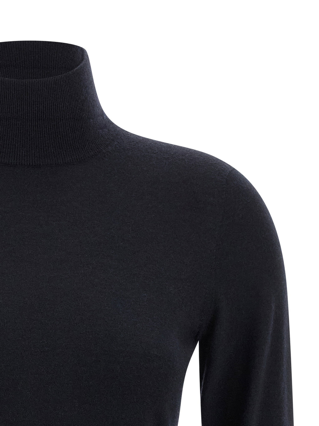 Max Mara Meana Turtleneck