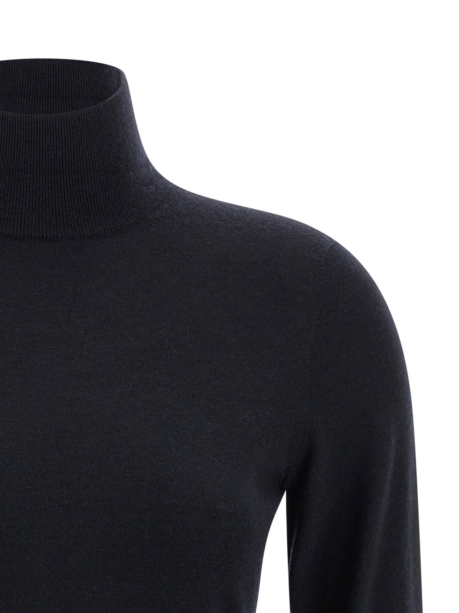 Max Mara Meana Turtleneck