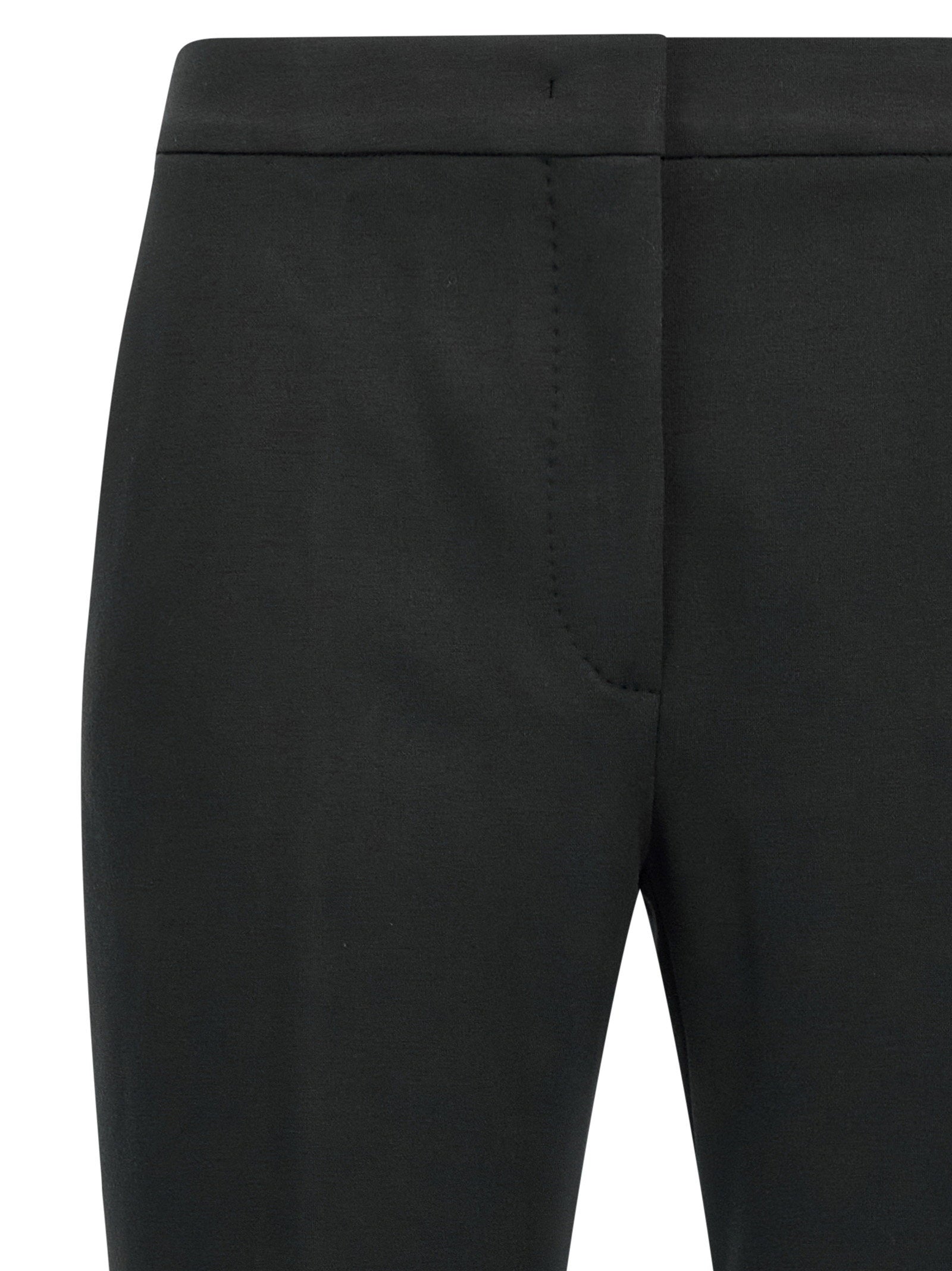 Max Mara Pegno Pants