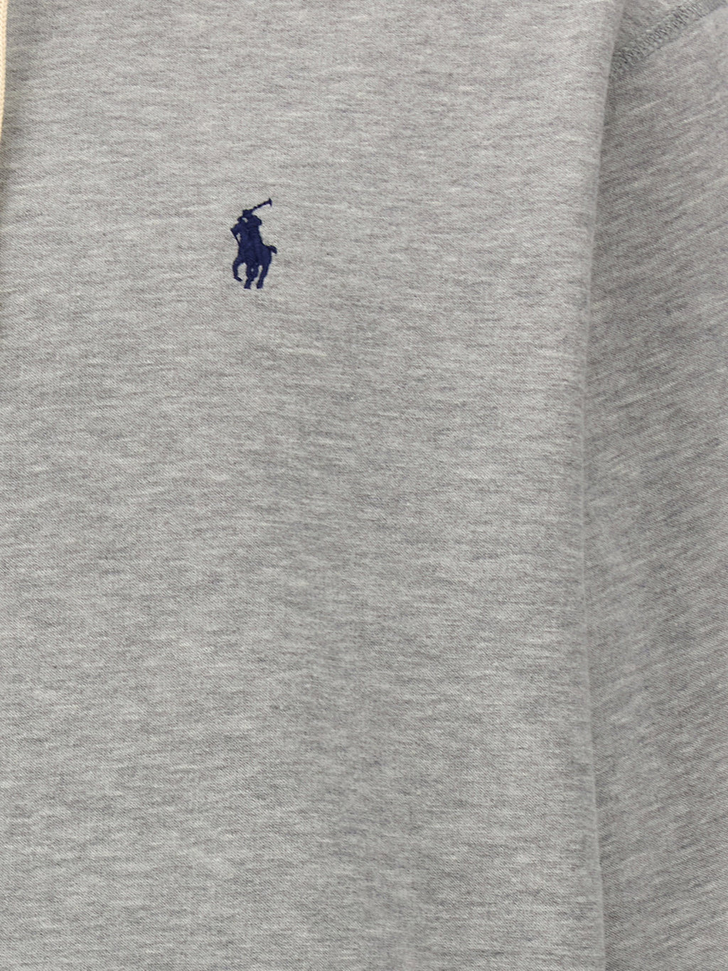 Polo Ralph Lauren Logo Hoodie