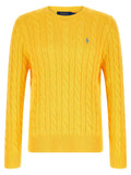 Polo Ralph Lauren Cotton Braided Sweater