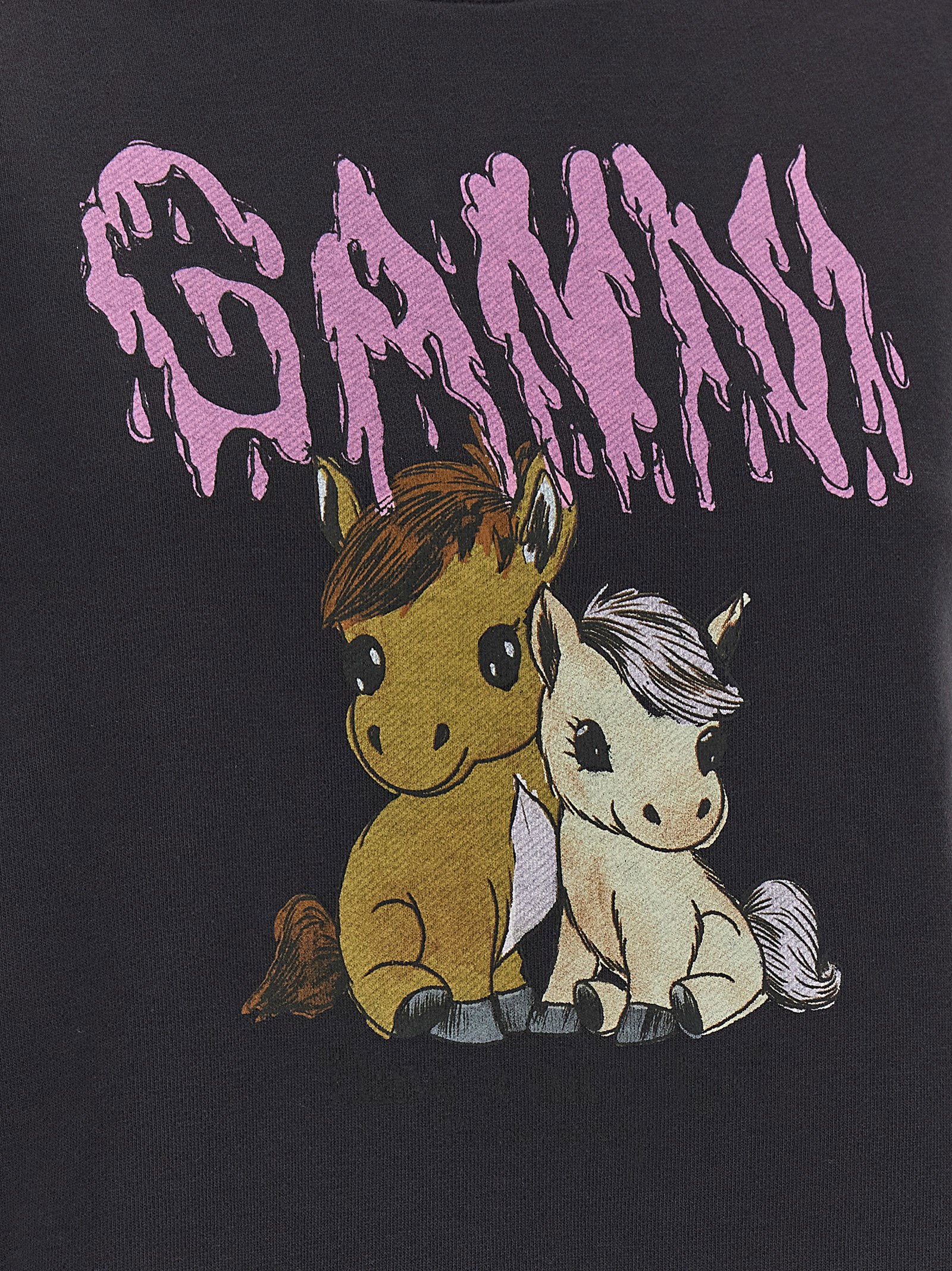 Ganni Isoli Sweatshirt