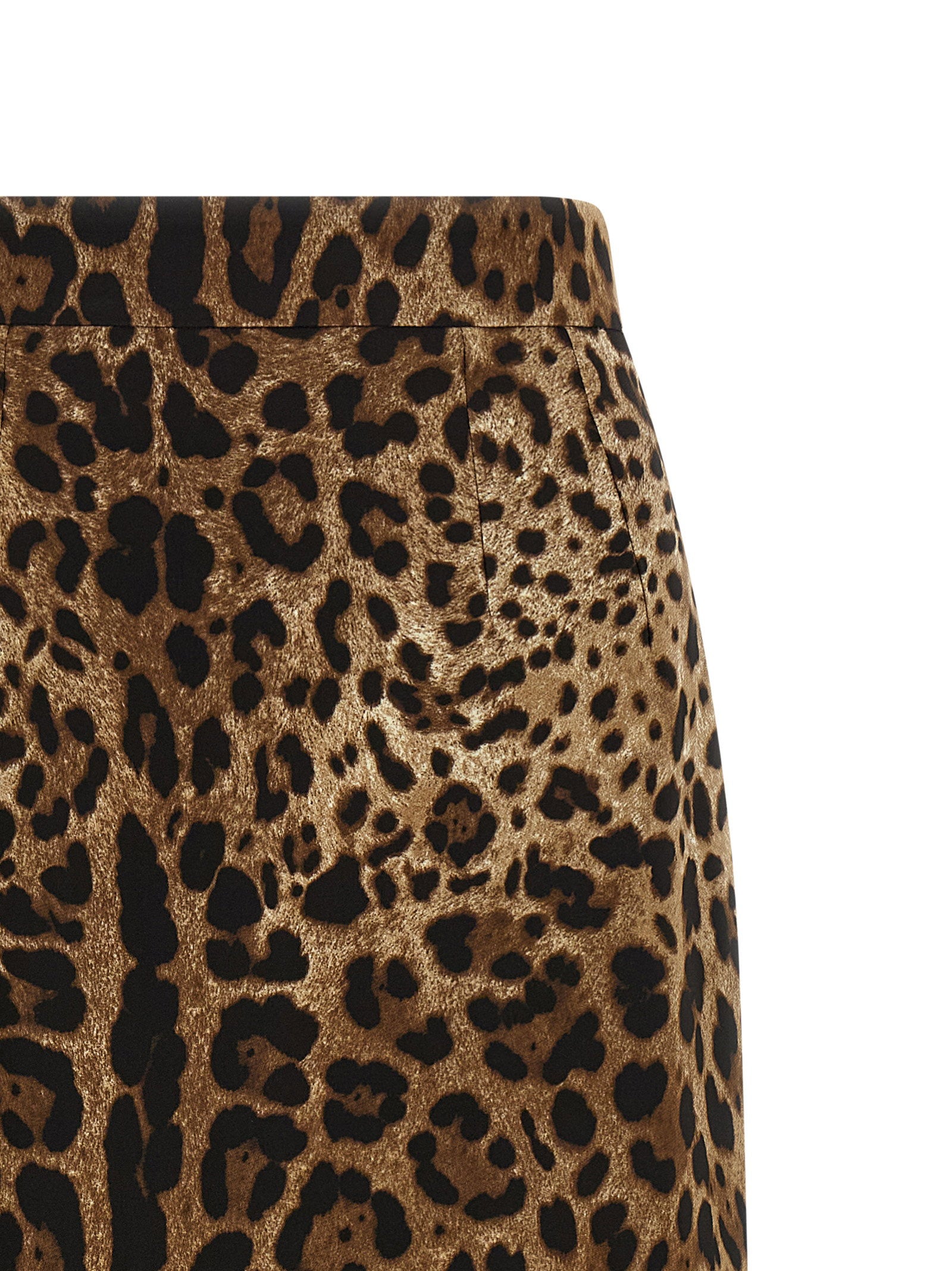 Dolce & Gabbana Leo Skirt