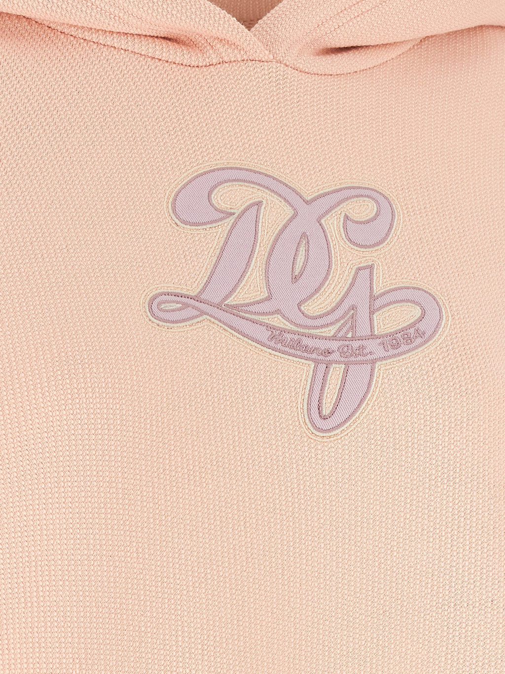 Dolce & Gabbana Logo Embroidery Hoodie