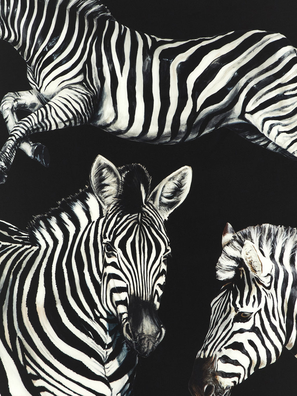 Dolce & Gabbana Zebra Print Scarf