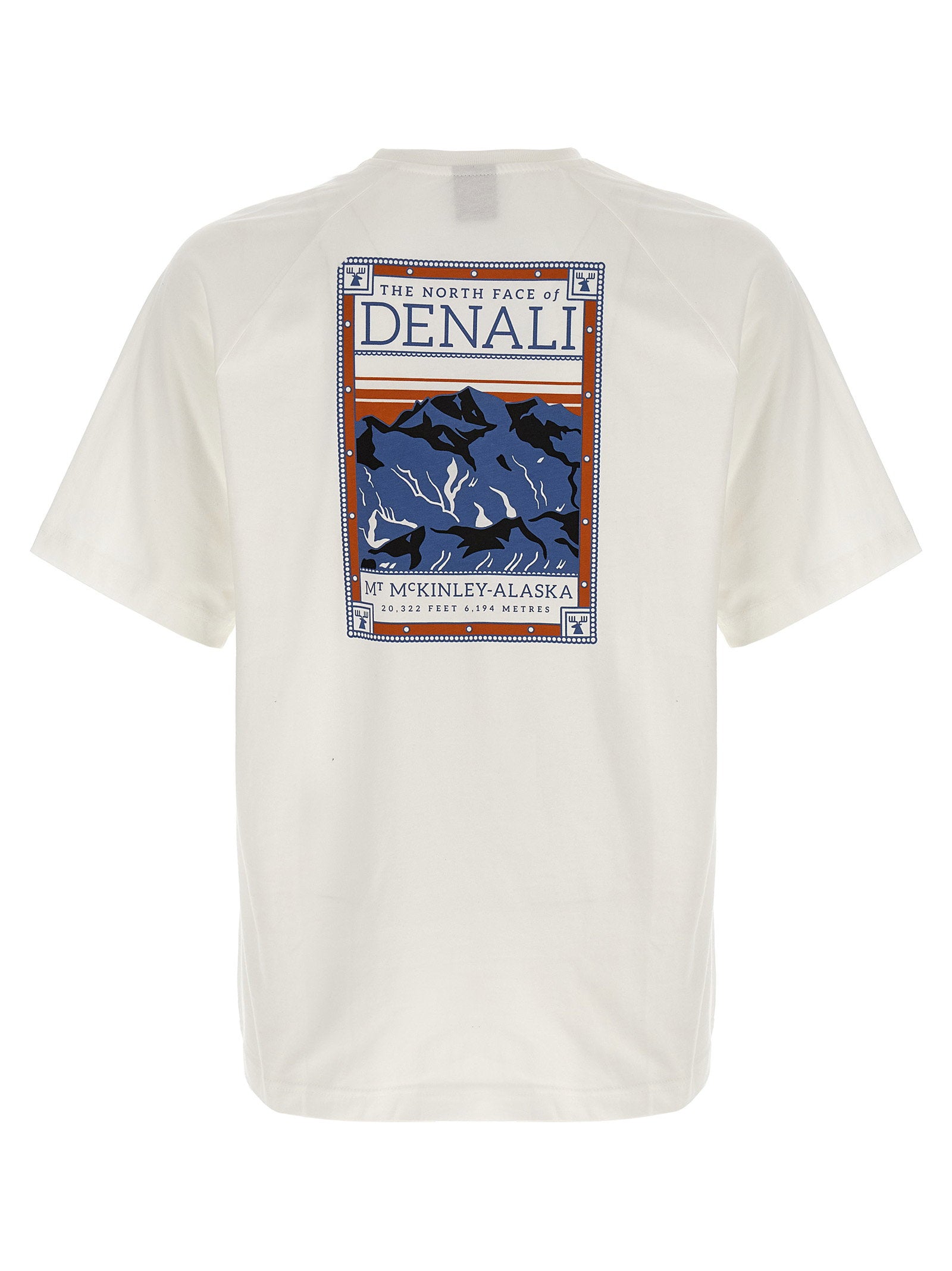 The North Face North Faces T-shirt