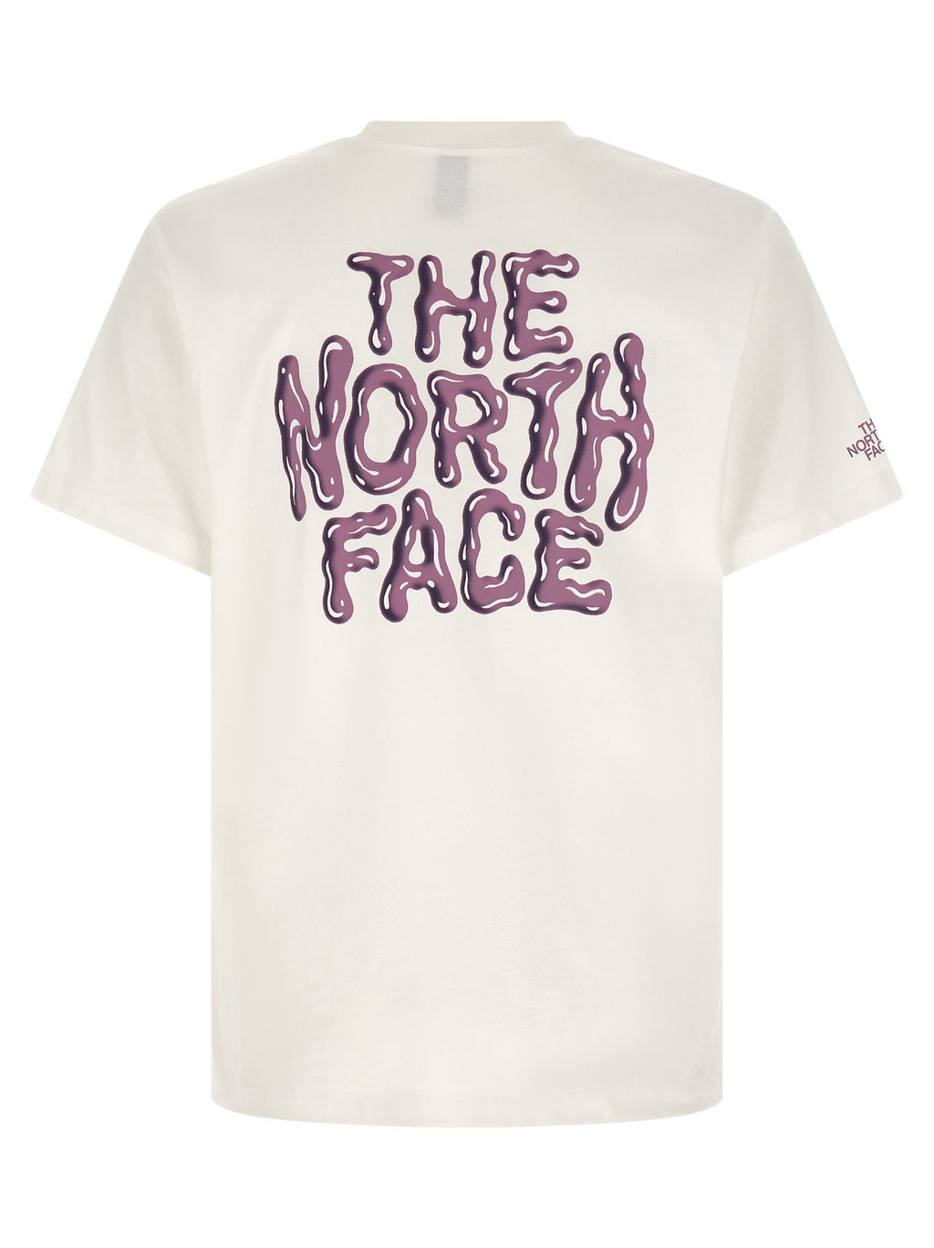 The North Face Drip Logo T-shirt