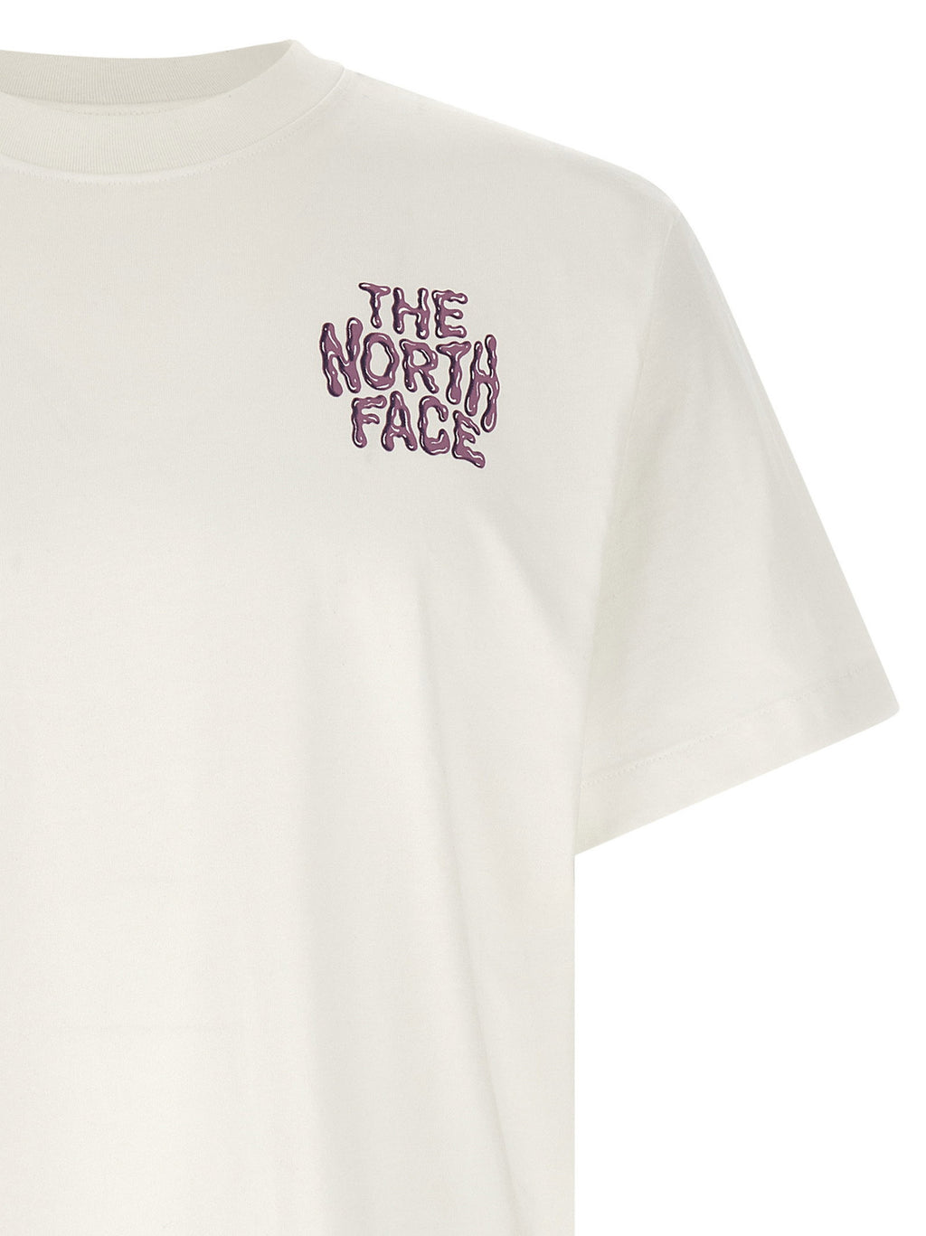 The North Face Drip Logo T-shirt